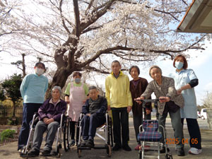 お花見