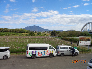 ドライブ　秋桜